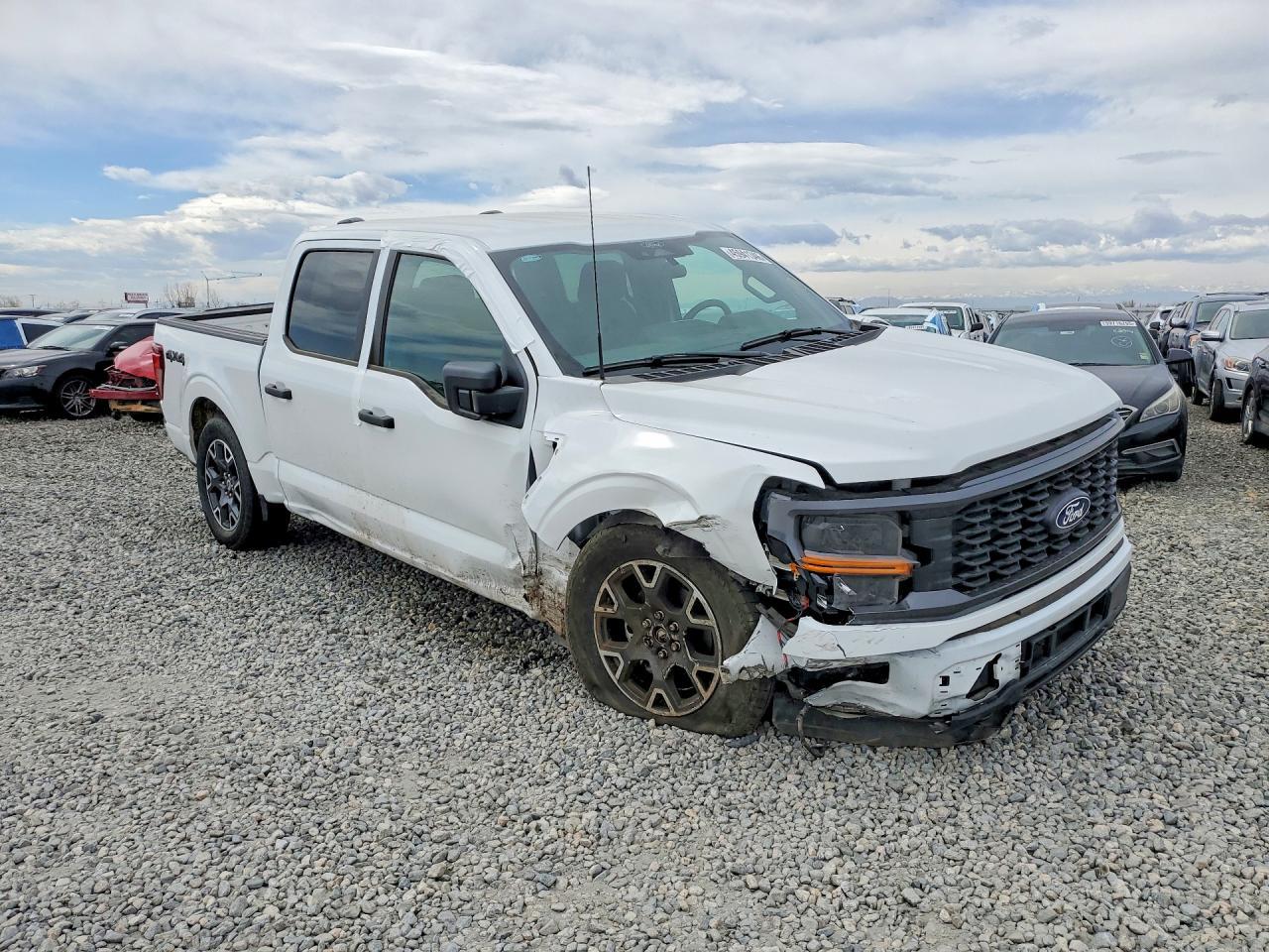 2025 Ford F150 STX
