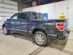 2010 Ford F150 Platinum