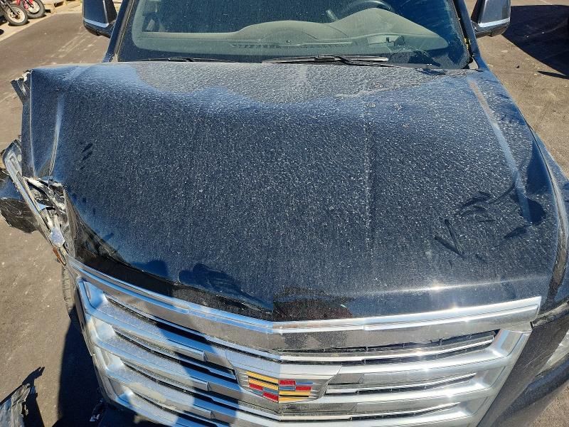 2019 Cadillac Escalade esv Platinum