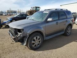 2009 Ford Escape Limited for sale in Rocky View County, AB