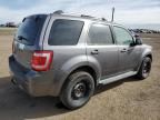 2009 Ford Escape Limited