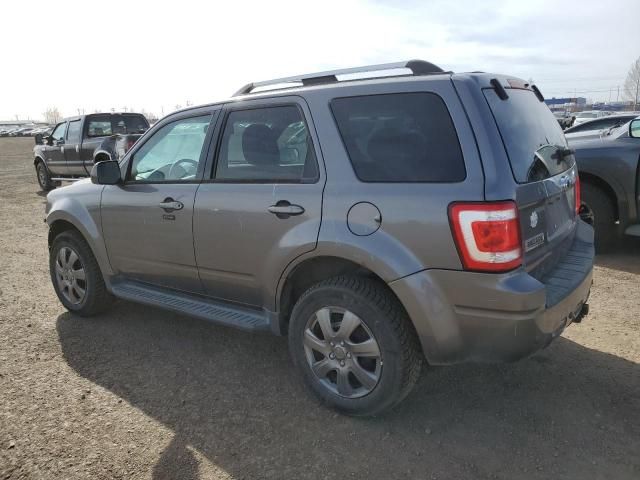 2009 Ford Escape Limited