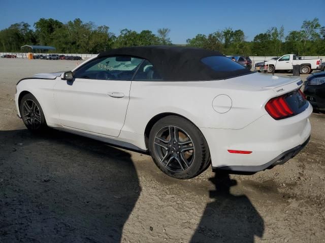 2019 Ford Mustang