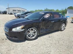 Nissan salvage cars for sale: 2012 Nissan Maxima S