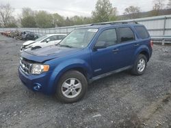 2008 Ford Escape XLT for sale in Grantville, PA