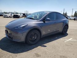 Tesla salvage cars for sale: 2023 Tesla Model Y