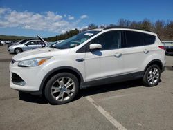 Ford Escape sel Vehiculos salvage en venta: 2013 Ford Escape SEL