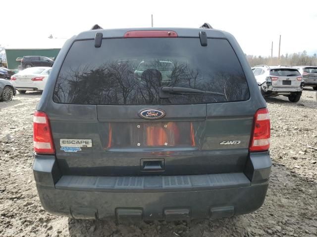 2008 Ford Escape XLT