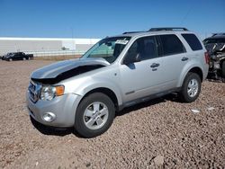 2008 Ford Escape XLT for sale in Phoenix, AZ