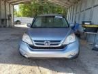 2010 Honda CR-V EXL