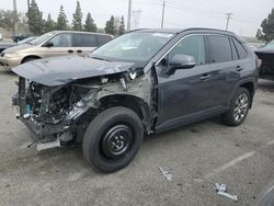 Salvage cars for sale from Copart Rancho Cucamonga, CA: 2023 Toyota Rav4 XLE Premium