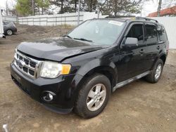 Ford Vehiculos salvage en venta: 2010 Ford Escape XLT