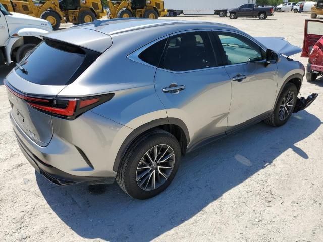 2023 Lexus NX 350