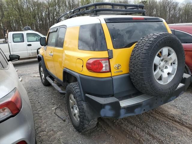 2007 Toyota FJ Cruiser