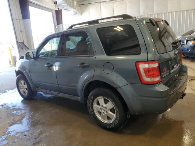 2012 Ford Escape XLT