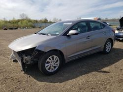 Hyundai Elantra se salvage cars for sale: 2020 Hyundai Elantra SE