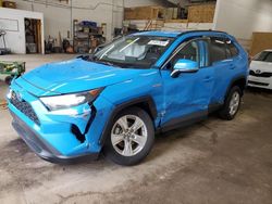 Toyota salvage cars for sale: 2021 Toyota Rav4 LE