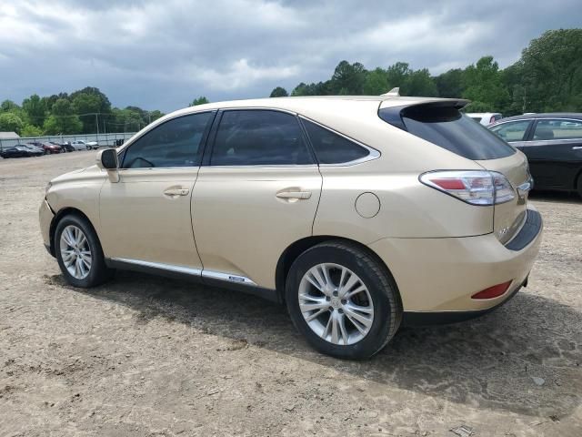 2010 Lexus RX 450