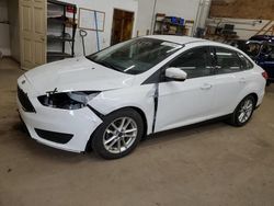 2015 Ford Focus SE for sale in Ham Lake, MN