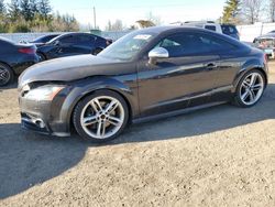 Salvage cars for sale from Copart Ontario Auction, ON: 2012 Audi TTS Premium Plus