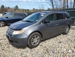 2012 Honda Odyssey EXL en venta en Candia, NH