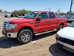 Ford f150 Supercrew salvage cars for sale: 2009 Ford F150 Supercrew