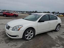 Nissan Vehiculos salvage en venta: 2004 Nissan Maxima SE