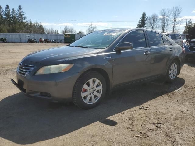 2007 Toyota Camry Hybrid