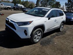 Toyota salvage cars for sale: 2021 Toyota Rav4 XLE