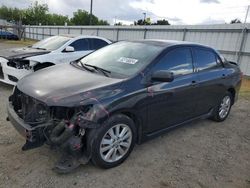 2010 Toyota Corolla Base for sale in Sacramento, CA