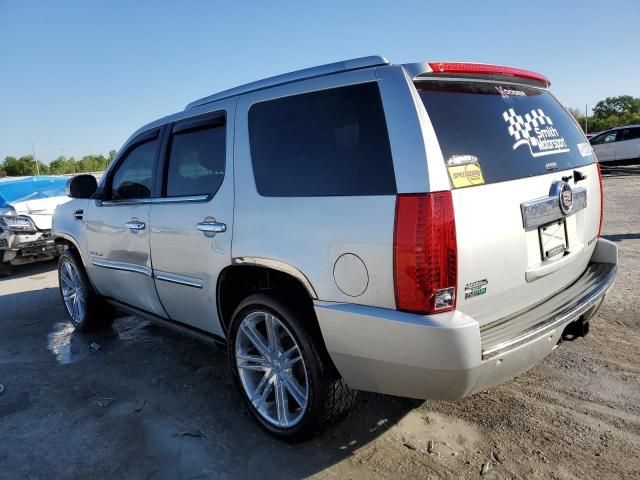 2010 Cadillac Escalade Premium