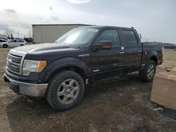 Salvage cars for sale from Copart Rocky View County, AB: 2009 Ford F150 Supercrew