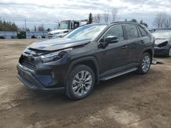 2023 Toyota Rav4 XLE for sale in Bowmanville, ON
