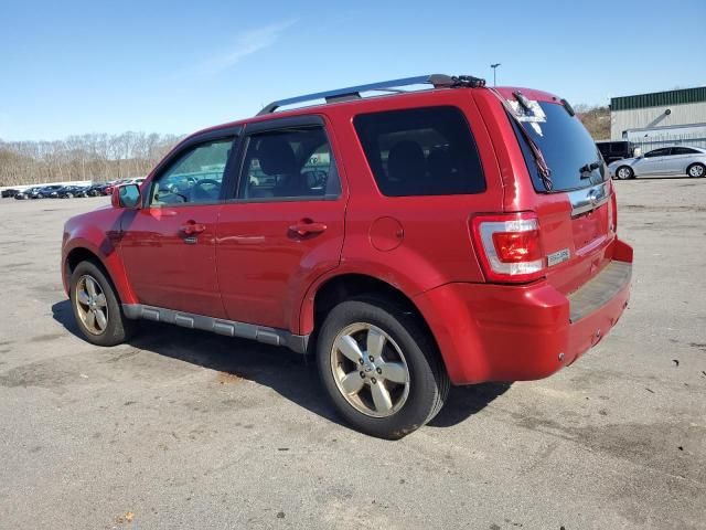 2011 Ford Escape Limited