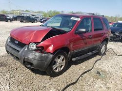 2004 Ford Escape XLT for sale in Louisville, KY