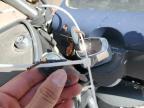 1987 Harley-Davidson Flhs