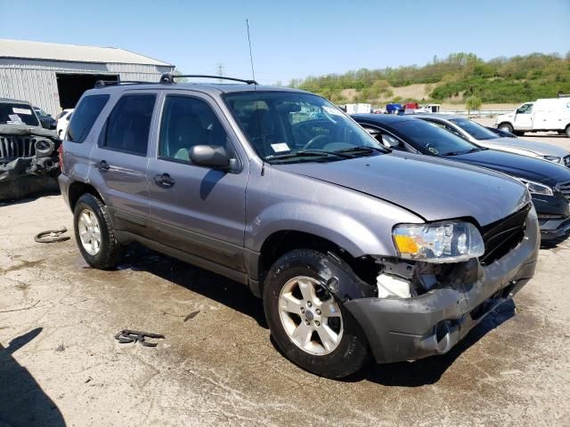 2007 Ford Escape XLT