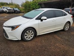 Toyota Corolla le salvage cars for sale: 2021 Toyota Corolla LE