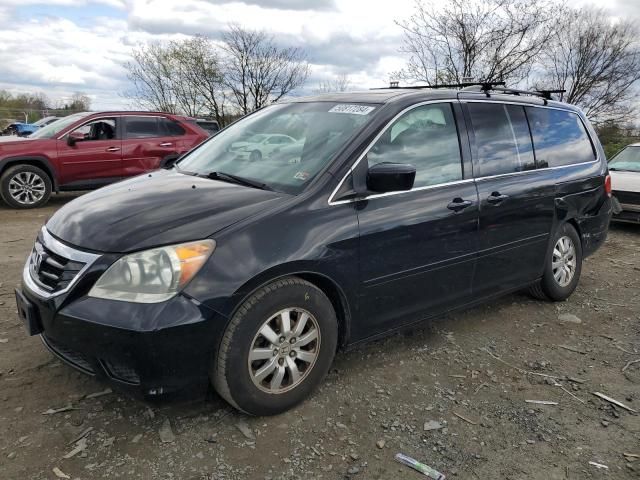 2010 Honda Odyssey EXL