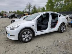 2023 Tesla Model Y en venta en Waldorf, MD