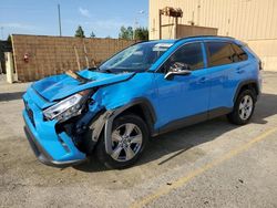 Salvage cars for sale from Copart Gaston, SC: 2019 Toyota Rav4 XLE