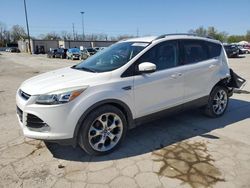 Ford Escape Titanium salvage cars for sale: 2014 Ford Escape Titanium