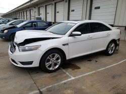 Ford salvage cars for sale: 2013 Ford Taurus SEL