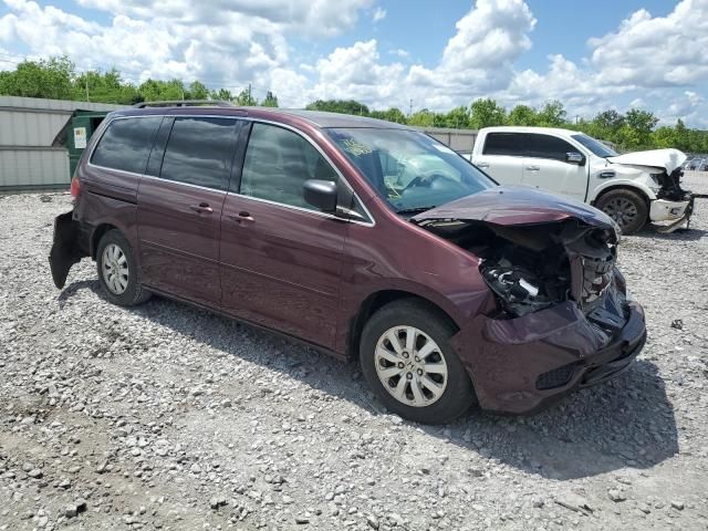 2008 Honda Odyssey EXL