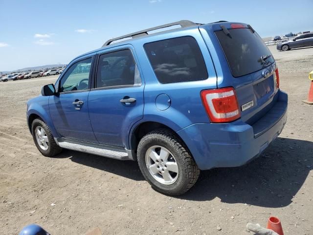 2009 Ford Escape XLT