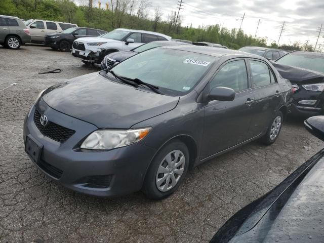 2010 Toyota Corolla Base