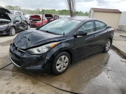 2016 Hyundai Elantra SE en venta en Louisville, KY