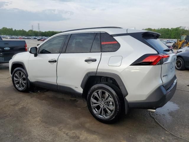 2024 Toyota Rav4 XLE Premium