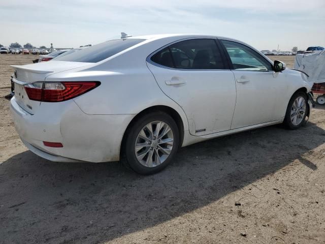 2014 Lexus ES 300H