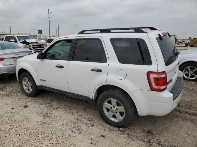 2008 Ford Escape HEV